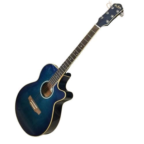 Y USED エレアコ Pro Martin custom ギター ブルー
