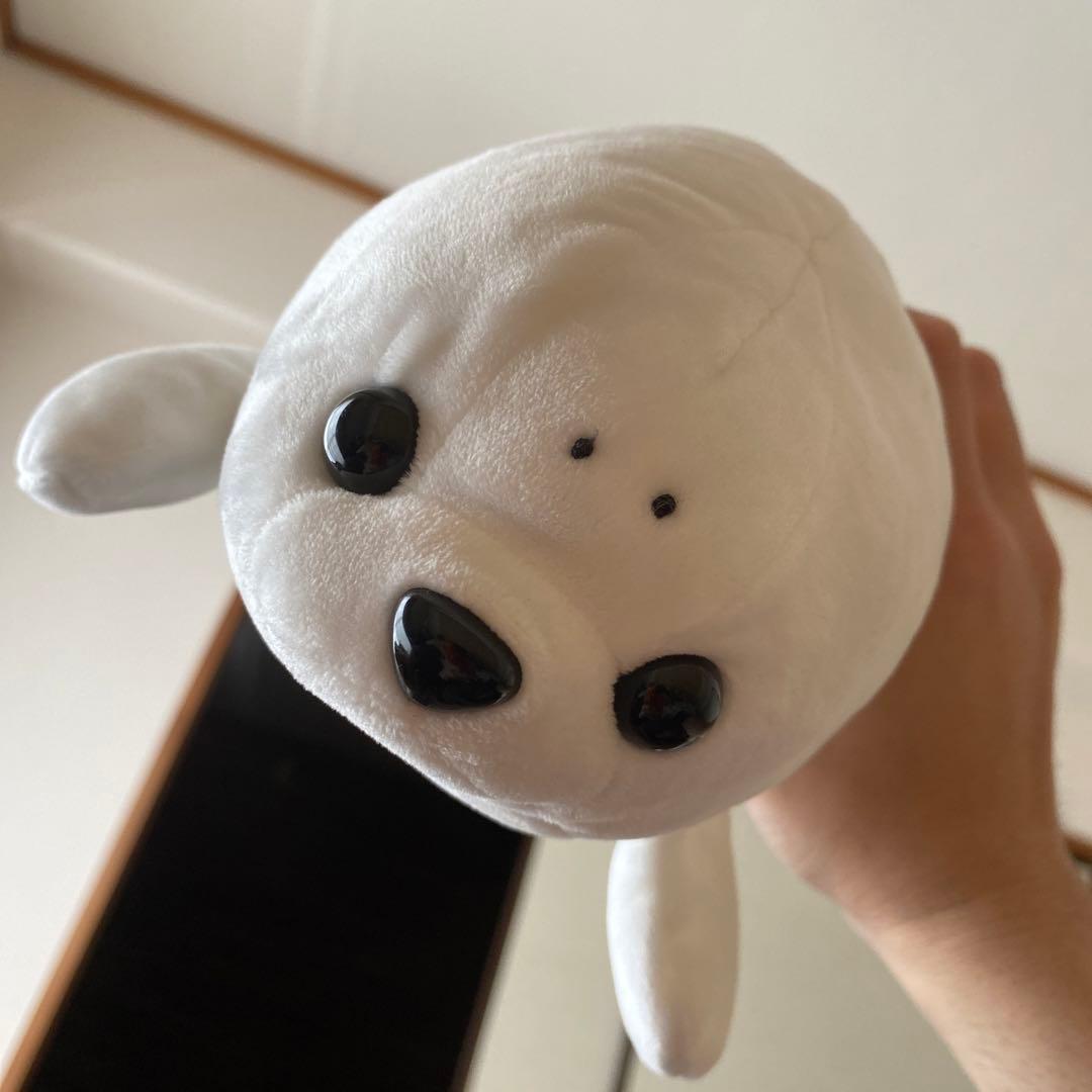 あざらし