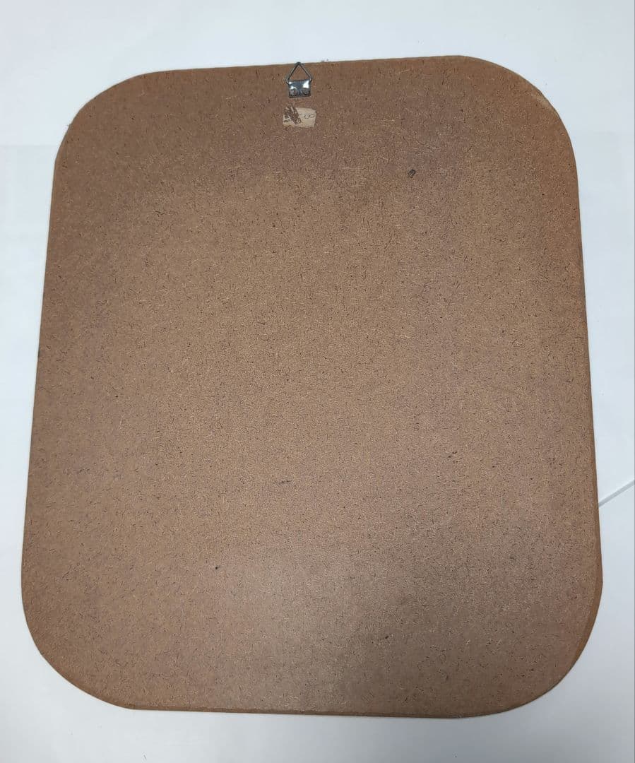 ブラジル 工芸品 蝶の標本 装飾石付きフレーム