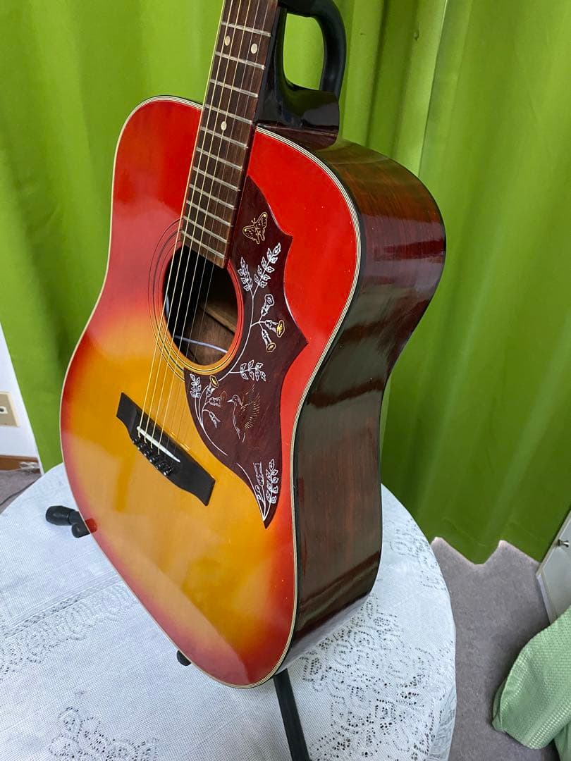 新春特価カントリーしようぜ！ハミングバードHottaエレアコ音出し良好