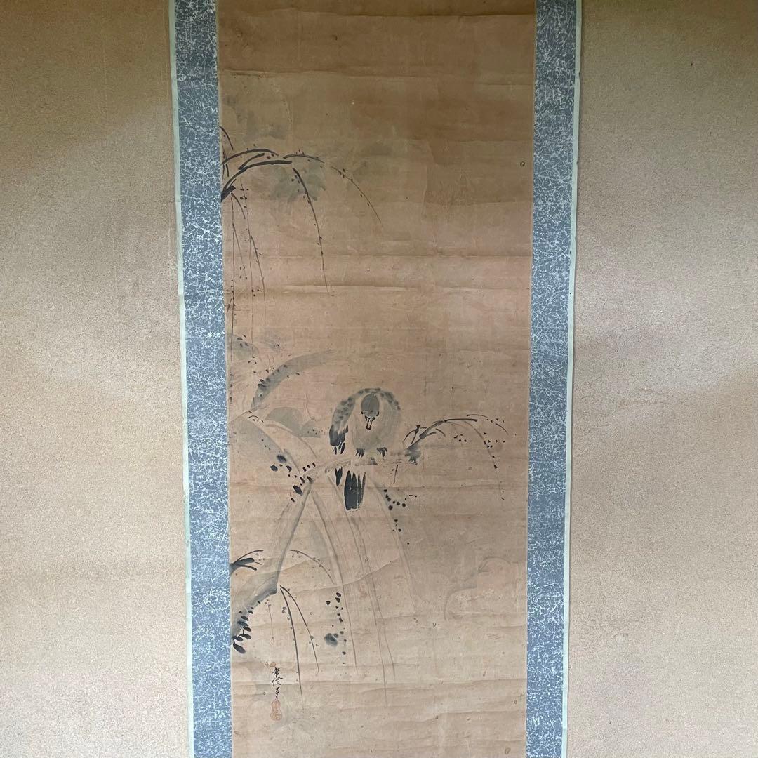 掛軸　掛け軸　狩野常信　水墨画　狩野派　サイン　落款あり　箱なし25.9.21