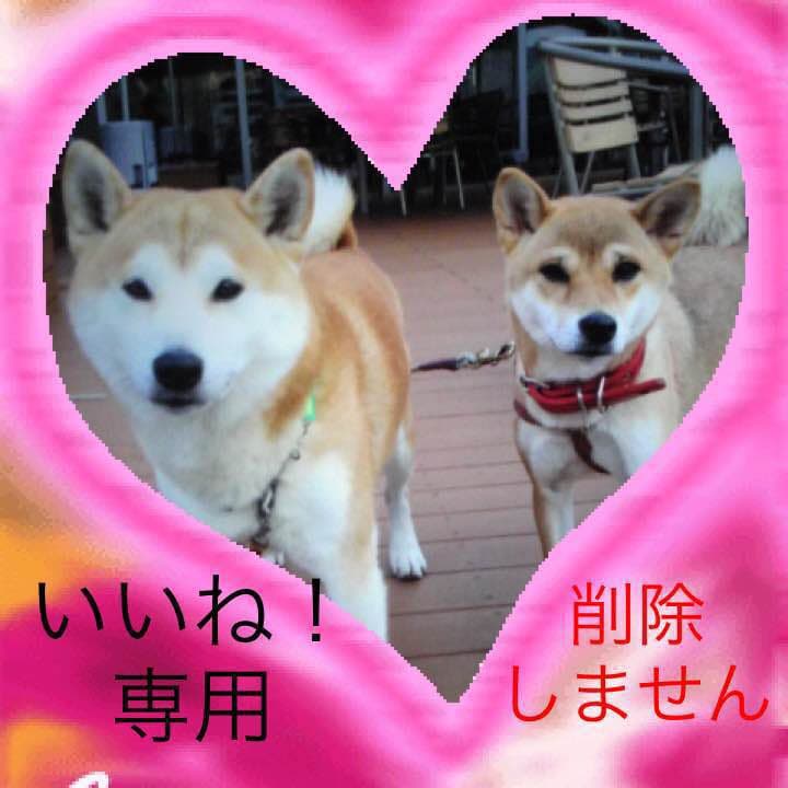 いいね！専用！