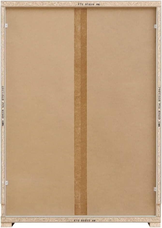 白井産業 カウンター下収納 ラック 扉タイプ ホワイト PTS-8560D