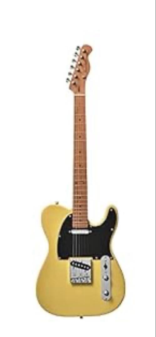 BACCHUS　エレキギター　テレキャスター　fender ストラップ付き