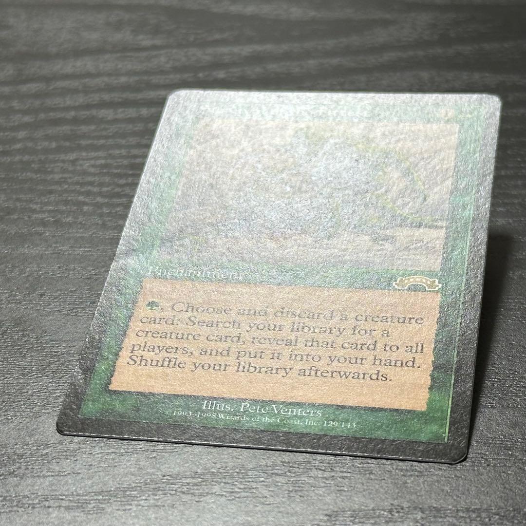 MTG 適者生存 英語