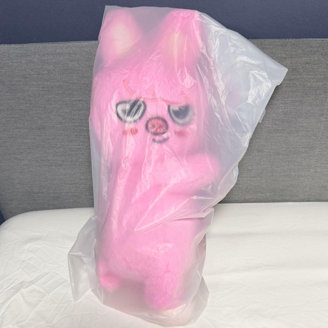 straykids celebrATE プラッシュバッグ トェッキ チャンビン