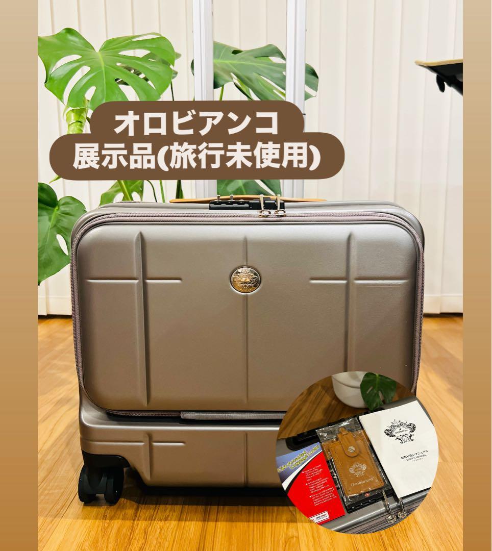 【お値下げ中】オロビアンコ スーツケース ARZILLO SV 機内持込可