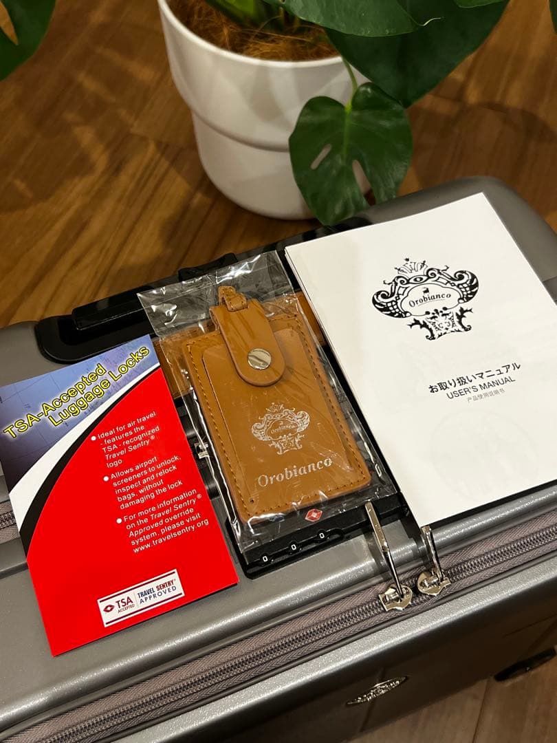 【お値下げ中】オロビアンコ スーツケース ARZILLO SV 機内持込可