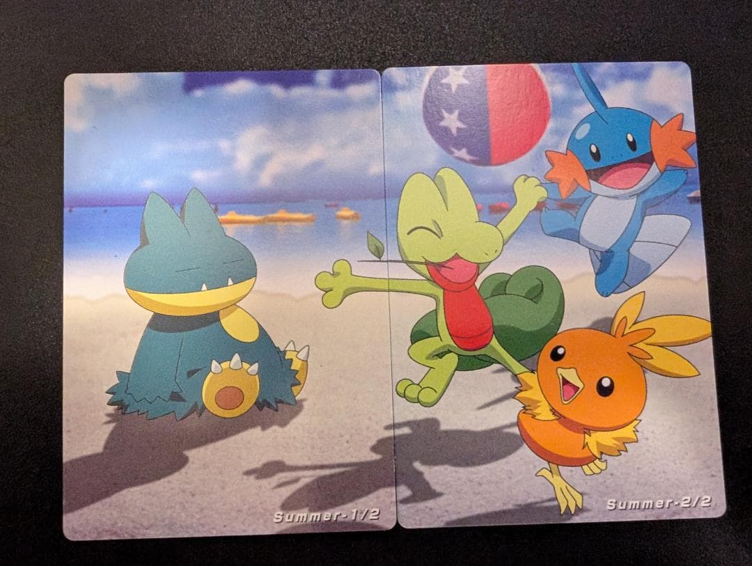 THE POKEMON WEEKLY Summer 1・2