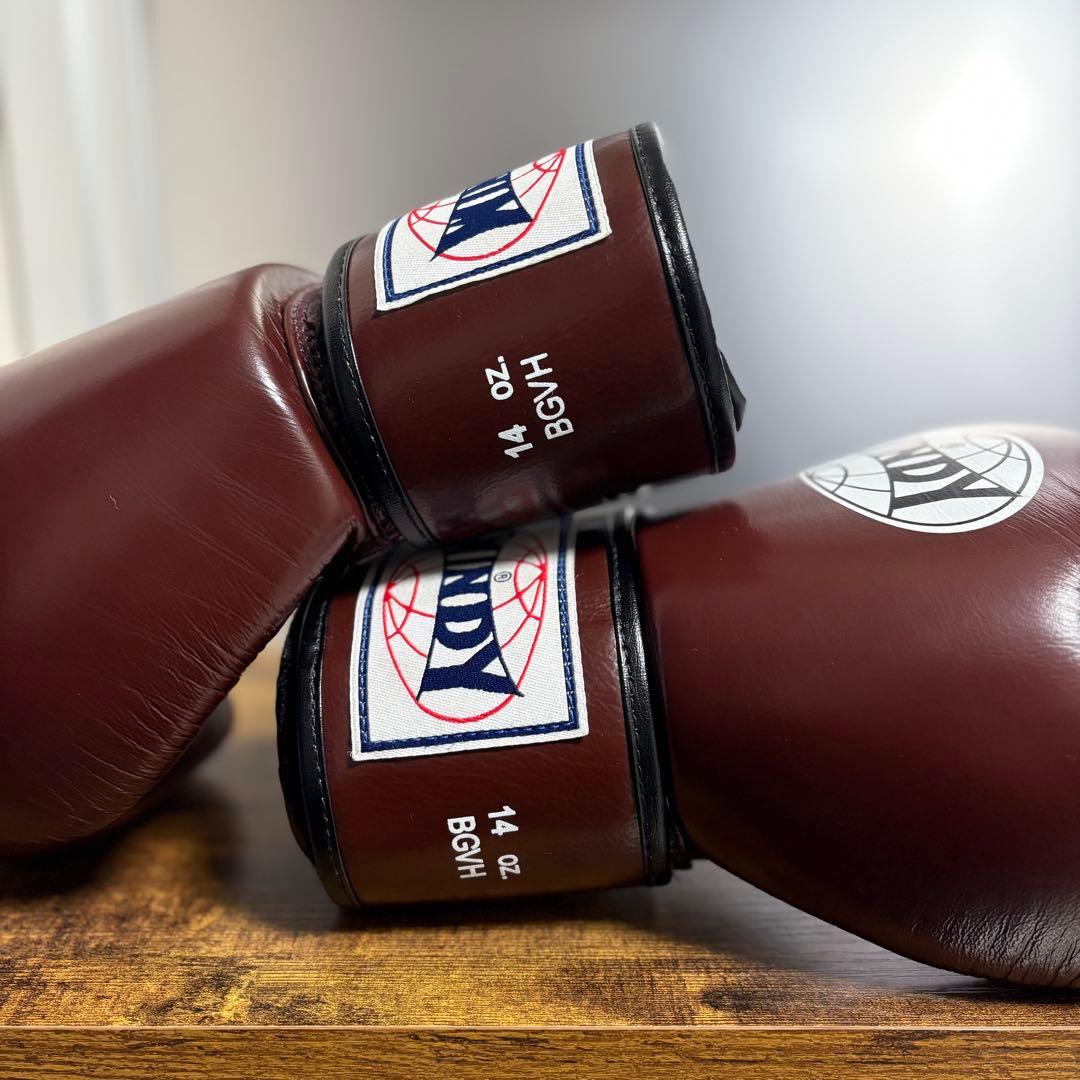 WINDY ボクシンググローブ ブラウン