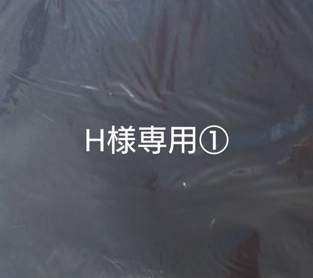 H　抱き枕カバーセット①