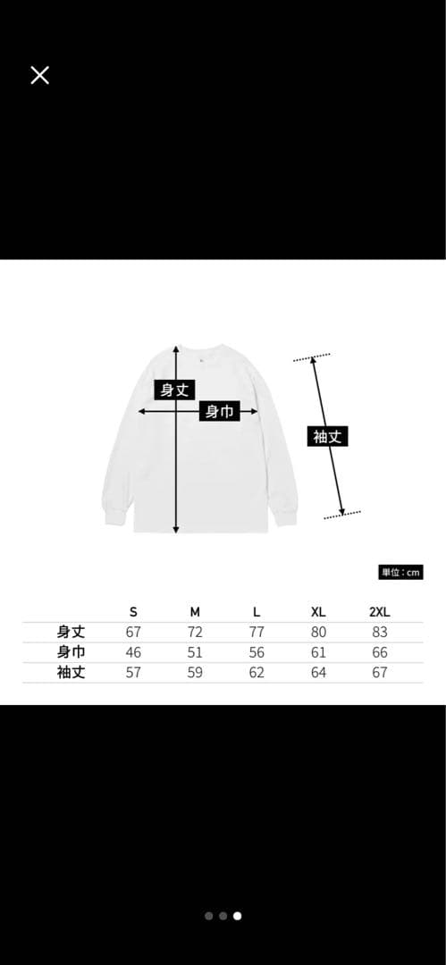 flexwitme ロンT 値下げ可能