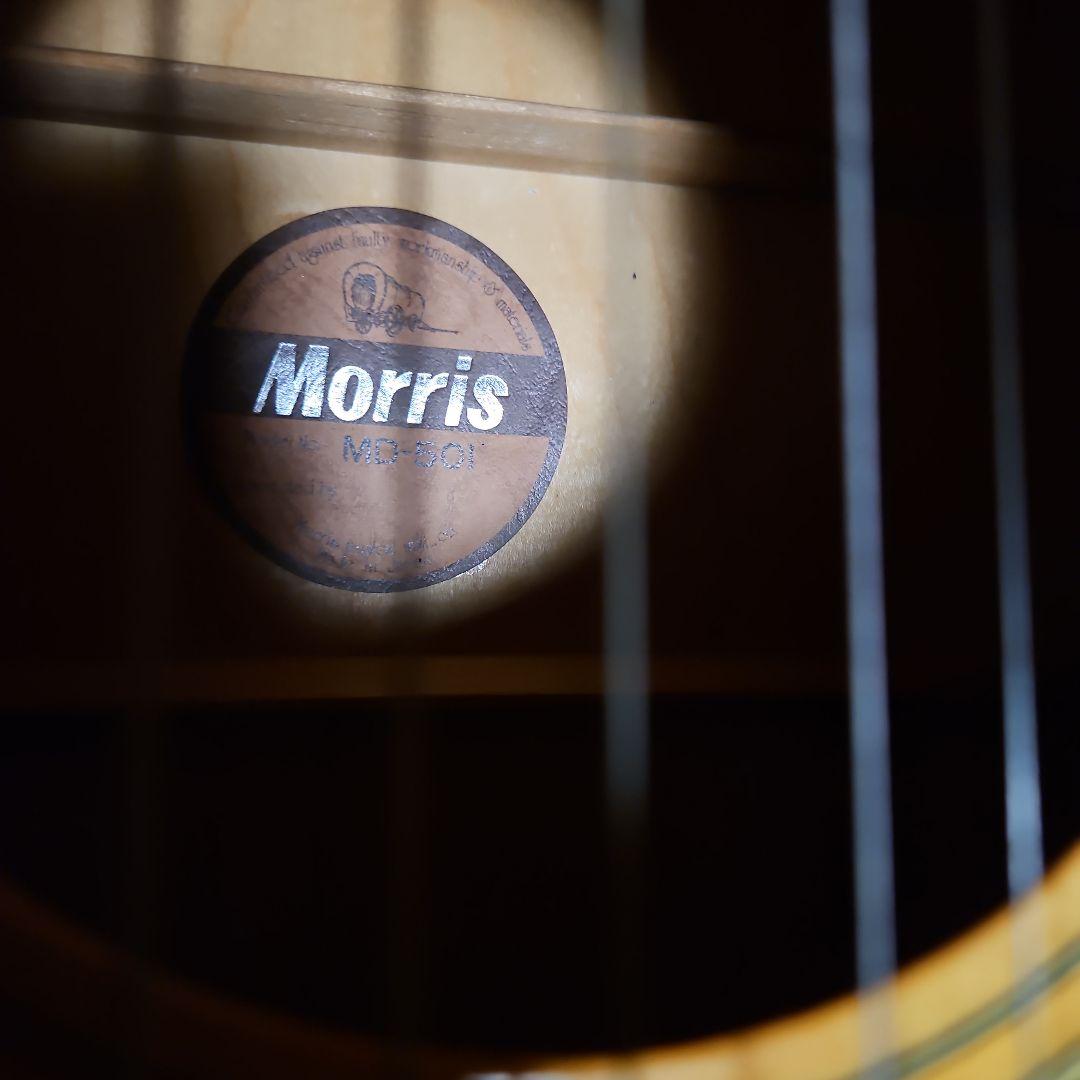 Morris アコースティックギター ドレッドノートMD501japan
