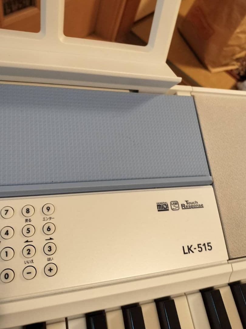 CASIO カシオ キーボード LK-515