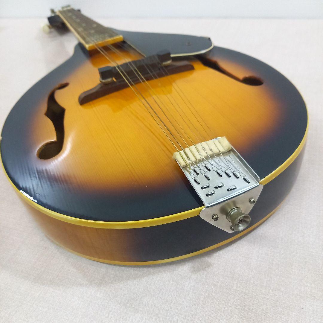VISION フラットマンドリン A-Model VMA-38S VS