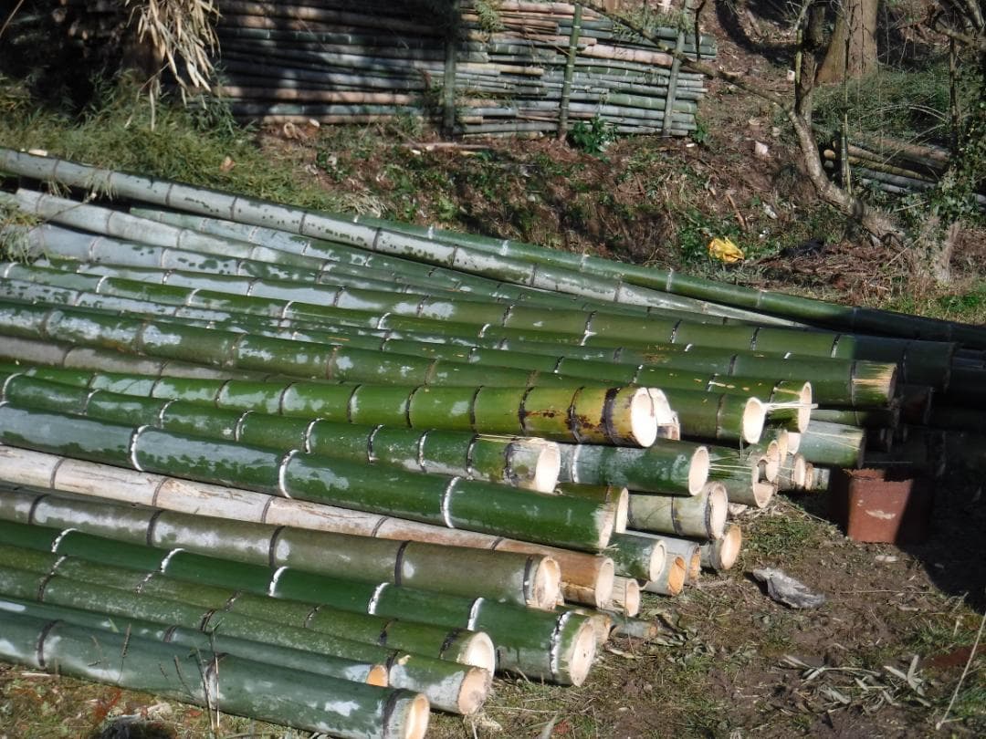 カブト虫マット40：発酵熟成竹・成虫・産卵・幼虫飼育用：100ℓ増量ℓ