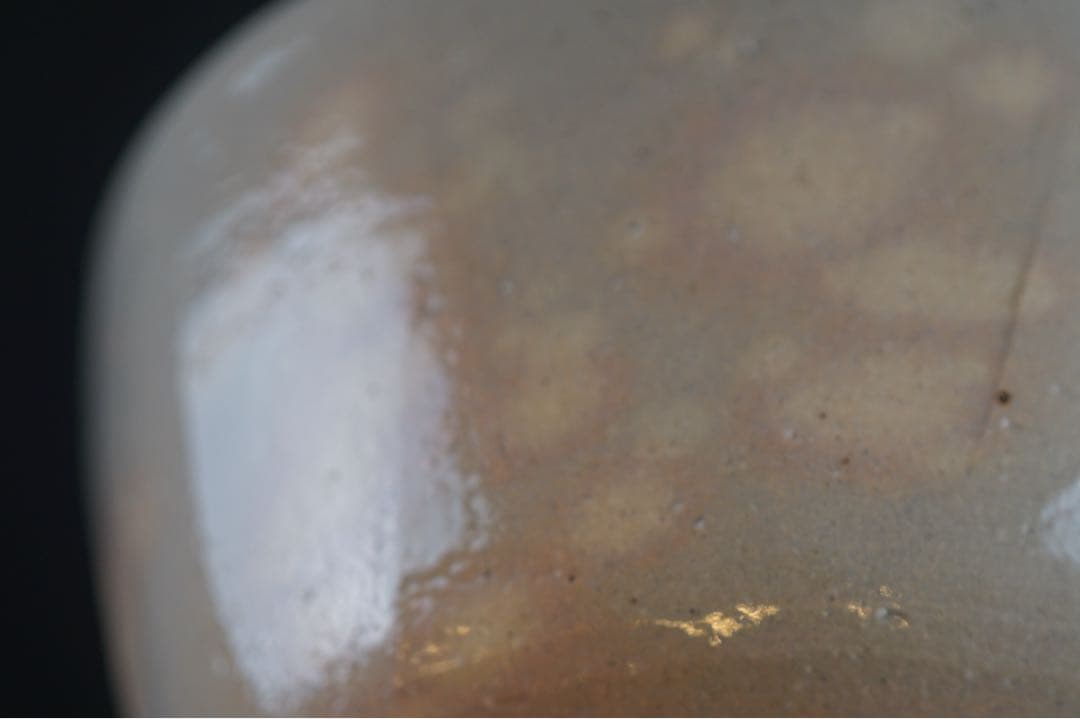 南口閑粋 作 乾山写 秋草文 金彩色絵 茶碗 共箱 栞 茶道具