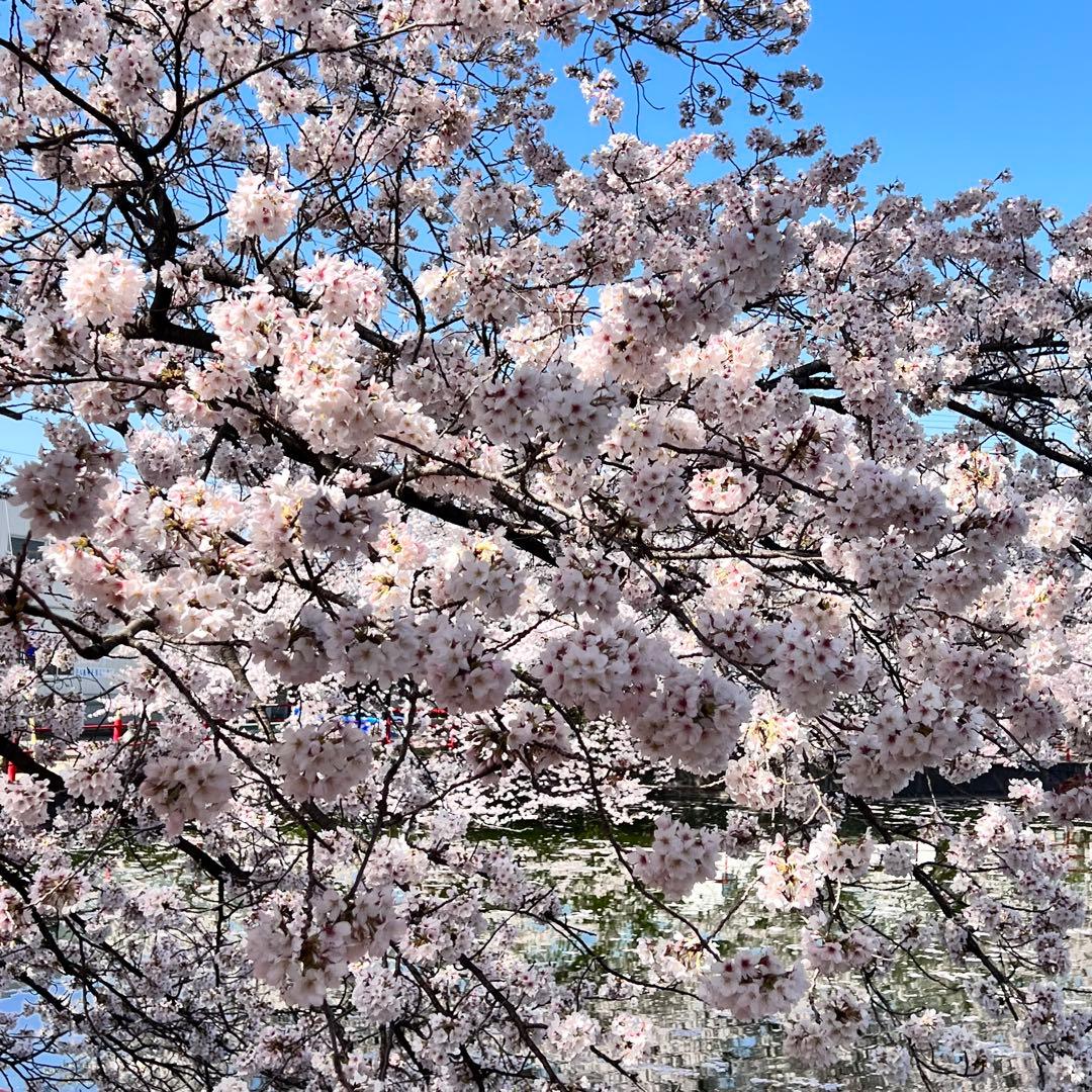 yukkiページ　3袋