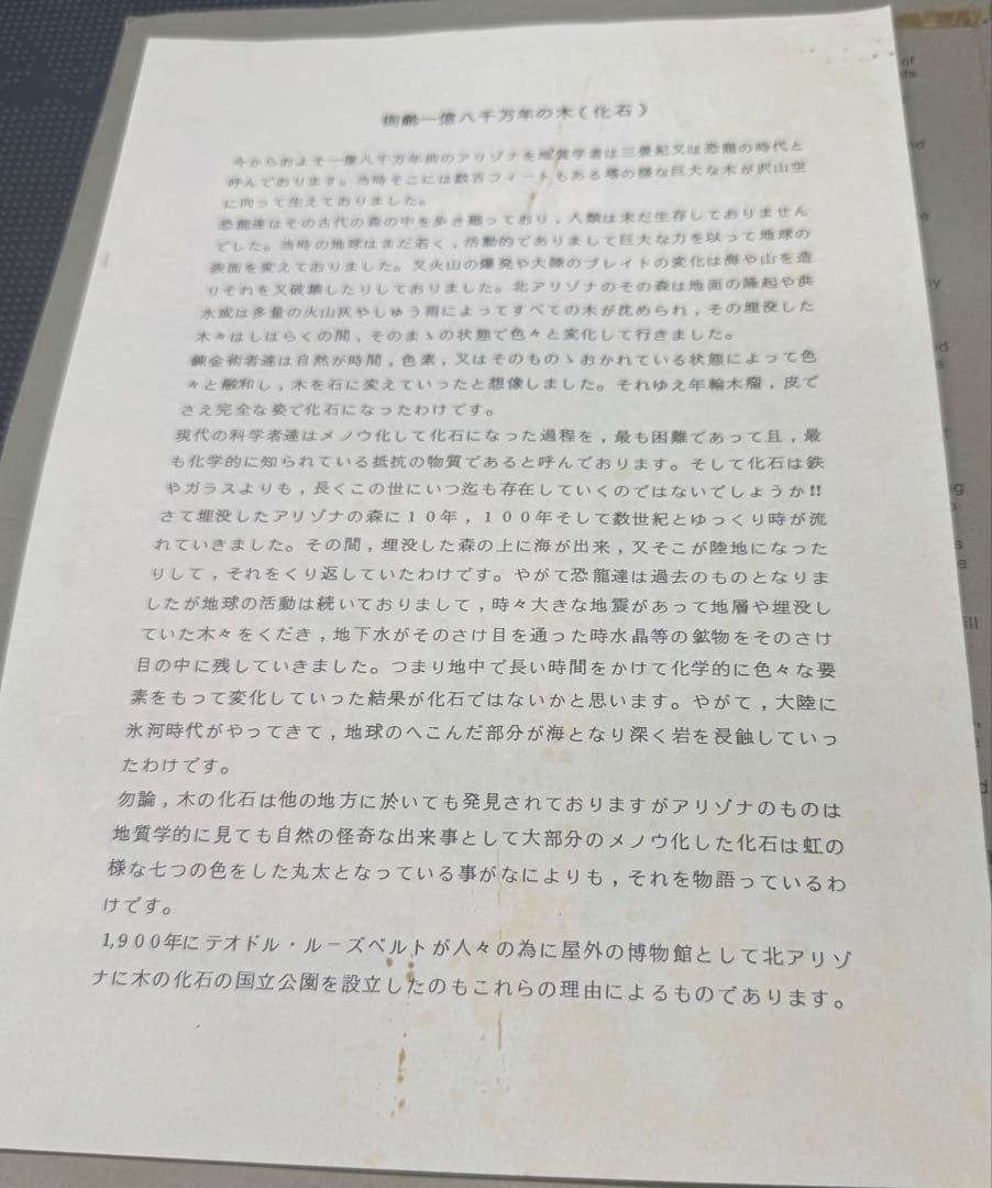 珪化木