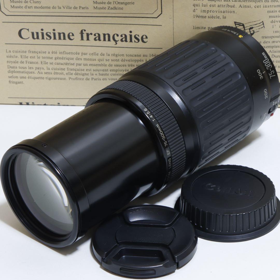 ◇大迫力300mm超望遠!!◇Canon純正 75-300mm 超望遠レンズ◇