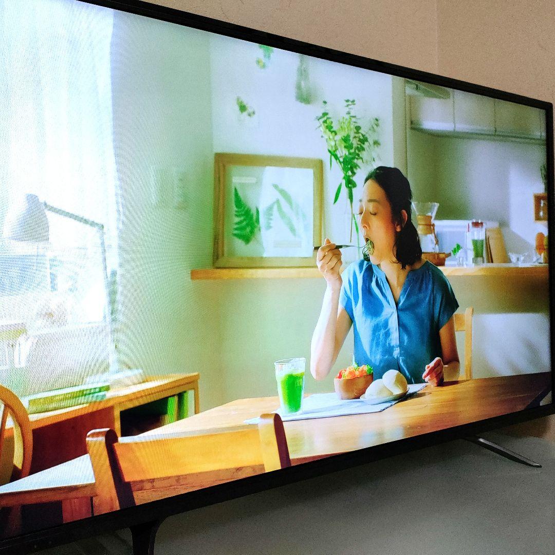 TOSHIBA[2018年製品]49C310X