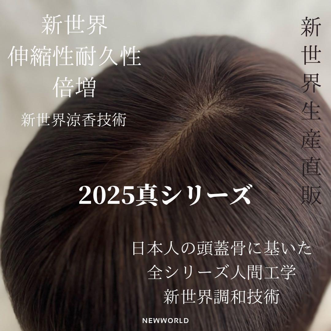 2025新世界　人毛100%　フルウィッグ　シルクスキン　医療ウィッグ　ブラック