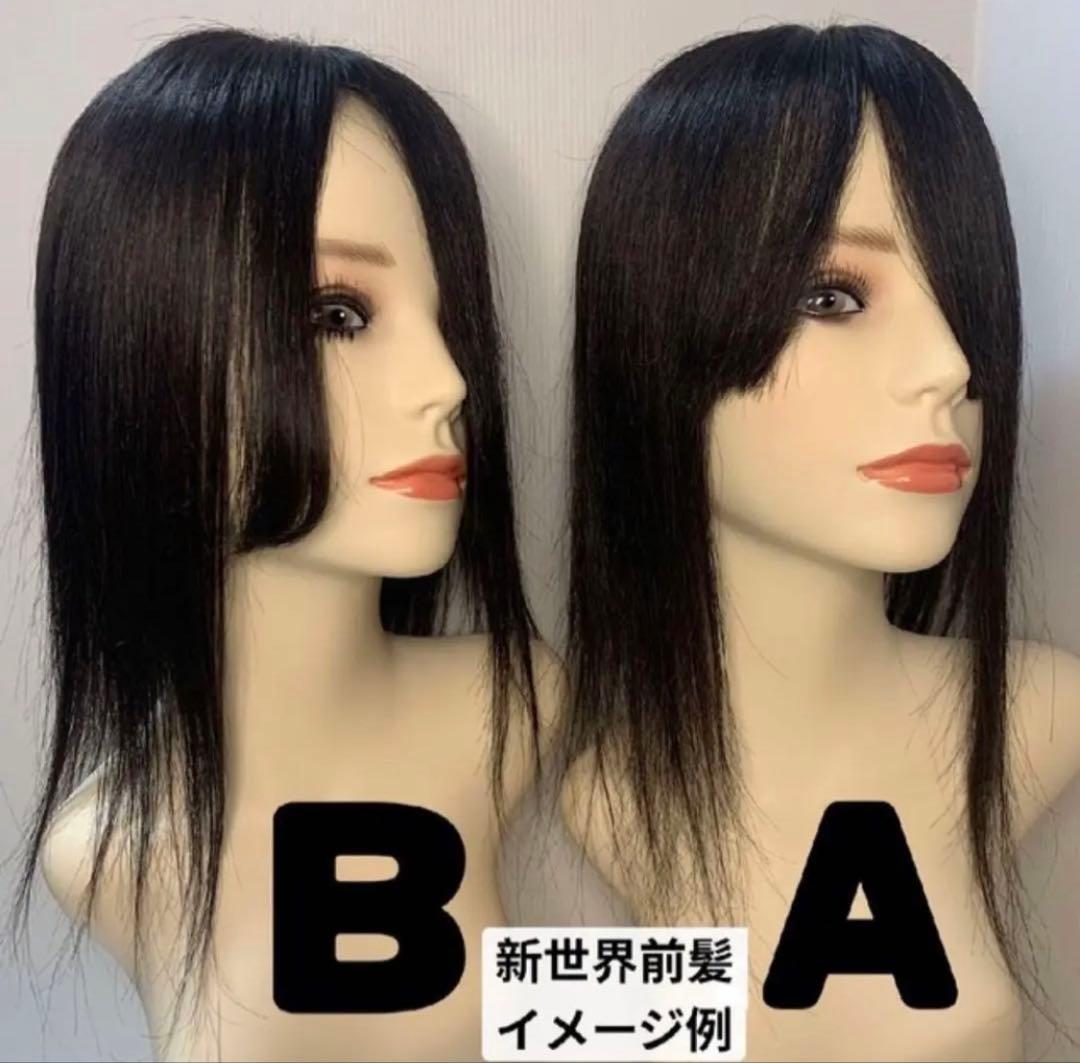 2025新世界　人毛100%　フルウィッグ　シルクスキン　医療ウィッグ　ブラック