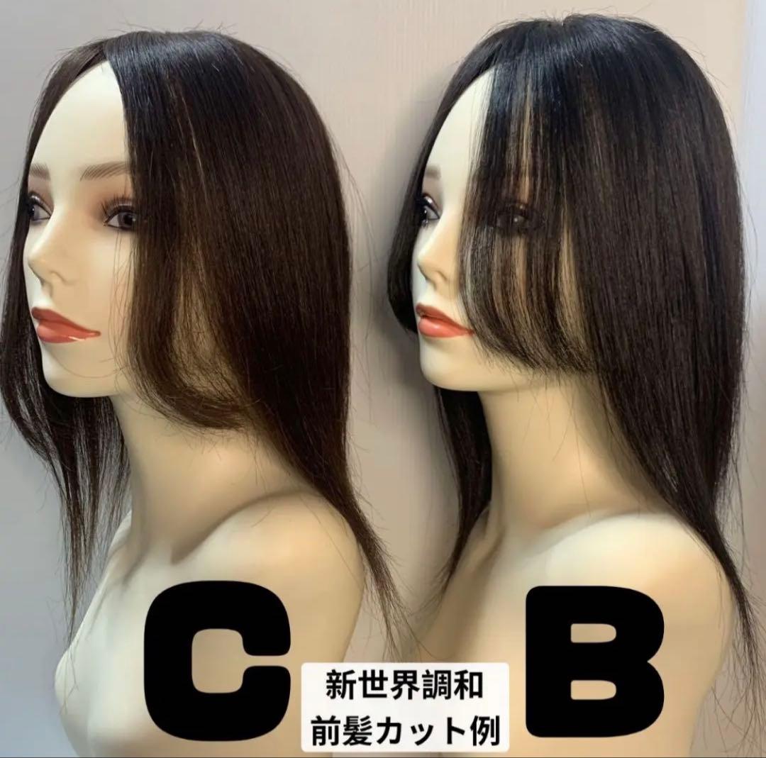 2025新世界　人毛100%　フルウィッグ　シルクスキン　医療ウィッグ　ブラック