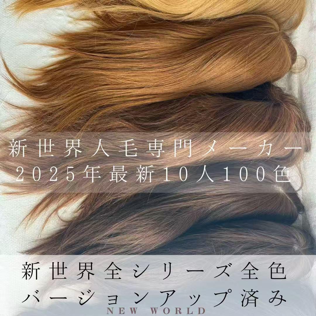 2025新世界　人毛100%　フルウィッグ　シルクスキン　医療ウィッグ　ブラック