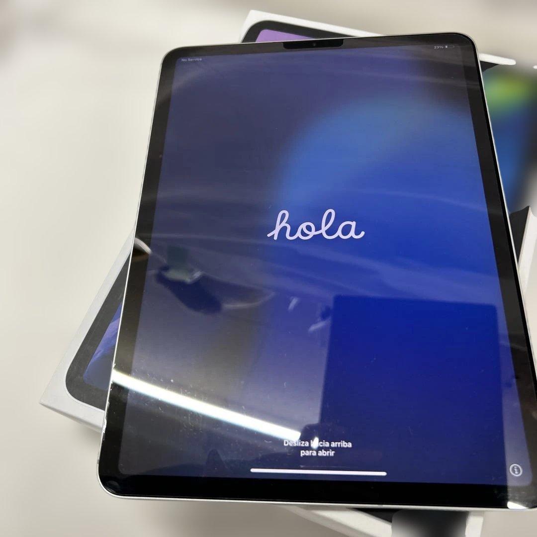 11インチ iPad Pro 第2世代 256GB SIMロック解除不明