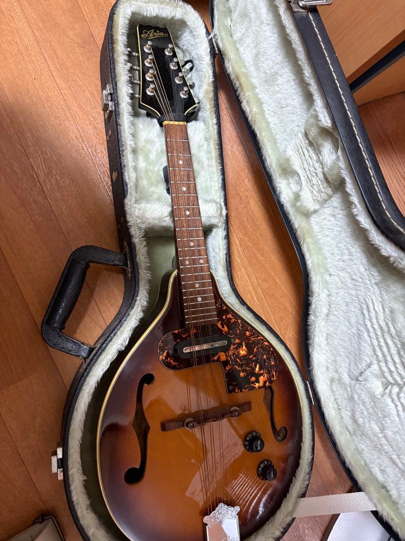ARIA AM-20E フラットマンドリン