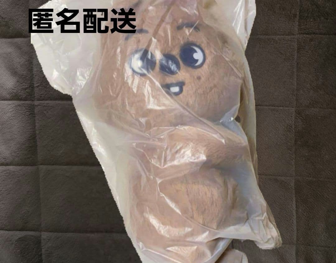 Stray Kids SKZOO PLUSH BAG ハンクオッカ