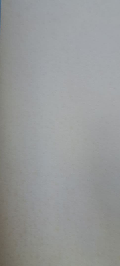 ビートたけし FICCE 特大ポスター