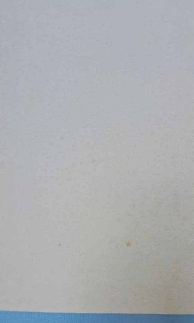 ビートたけし FICCE 特大ポスター