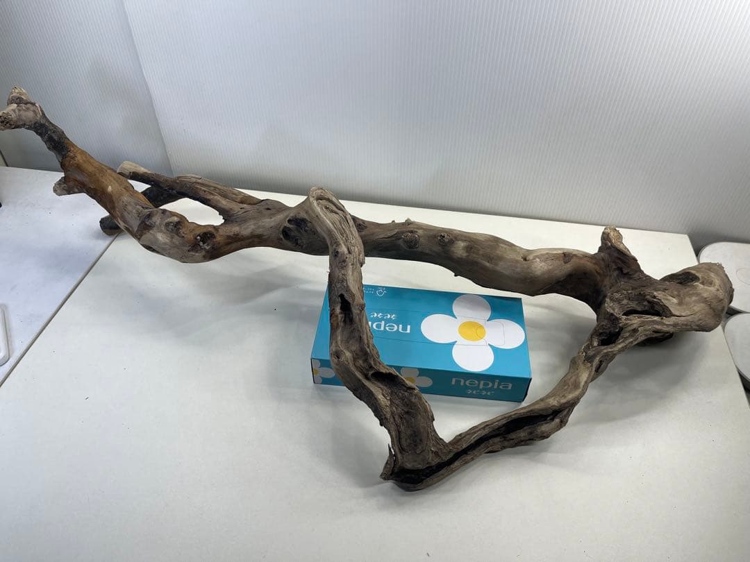 k36特大流木 アク抜き済み 爬虫類シェルター レイアウト用 登り木 インテリア