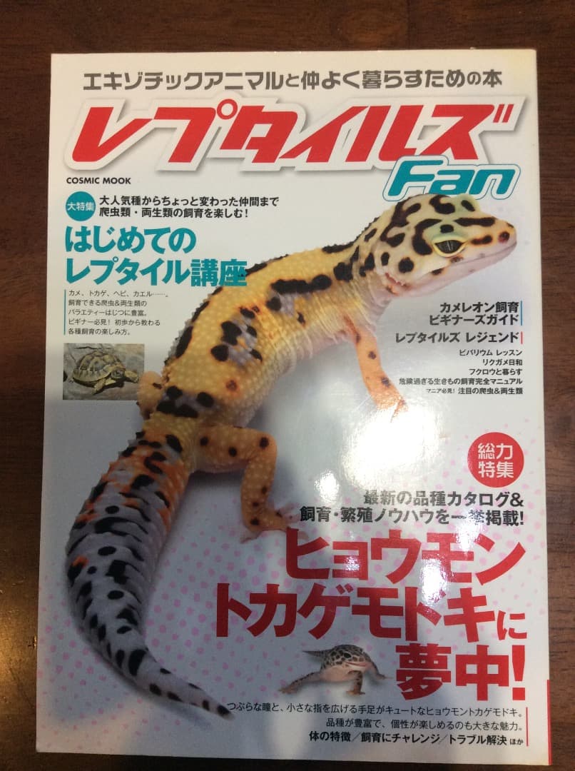 レプタイルズ Fan Vol.1〜5 全5冊 まとめ売り コスミック出版