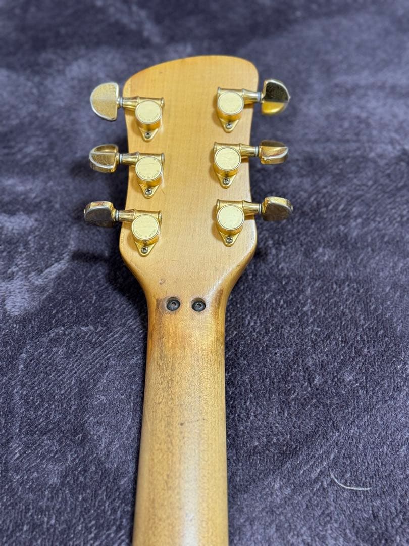 Edwards SKID ROW スペクター風モデル　リフレット済み