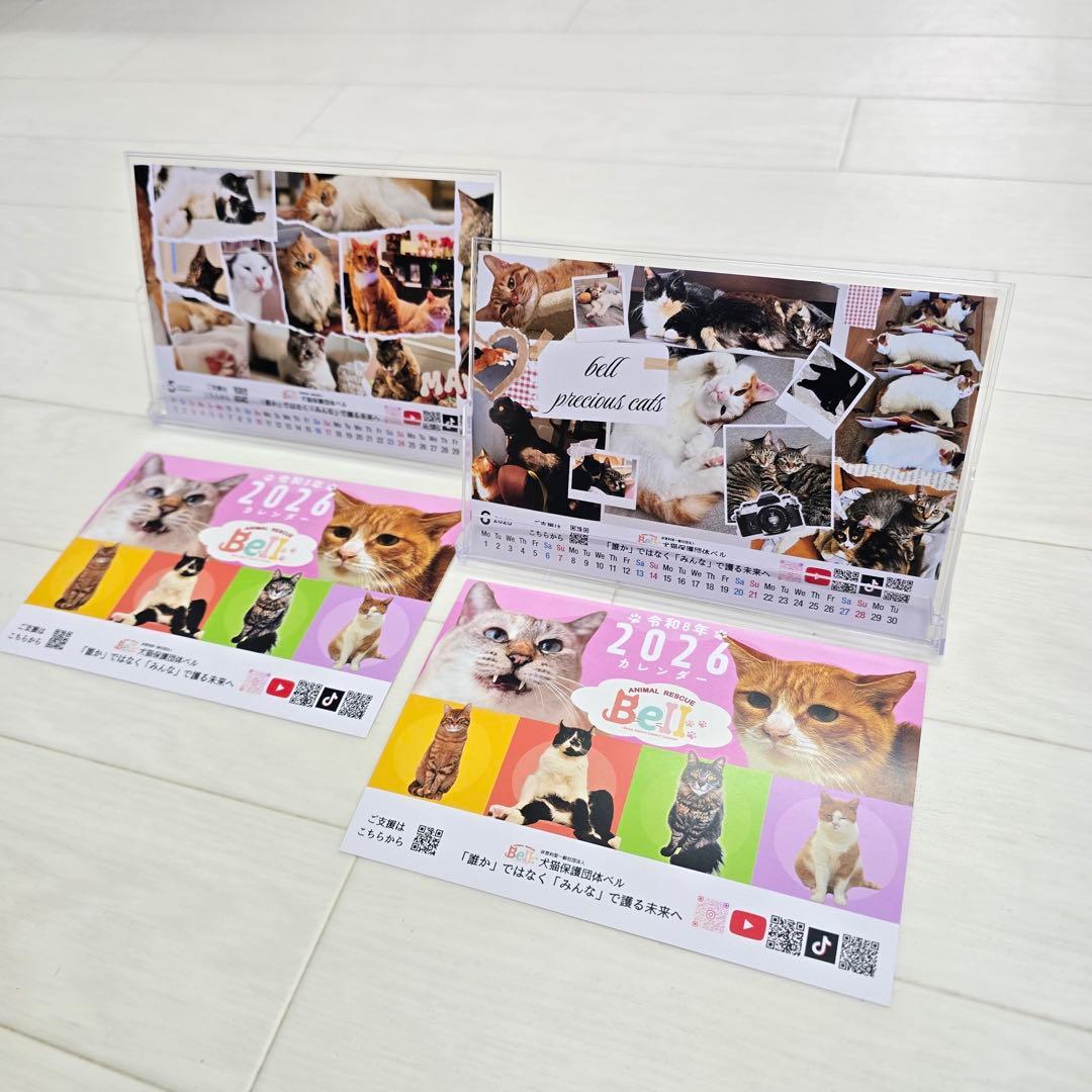 ②《猫》 卓上チャリティーカレンダー10枚セット