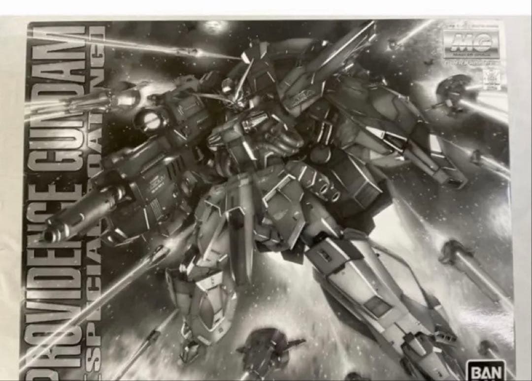 HGプロヴィデンスガンダムスペシャルコーティング　プレバン