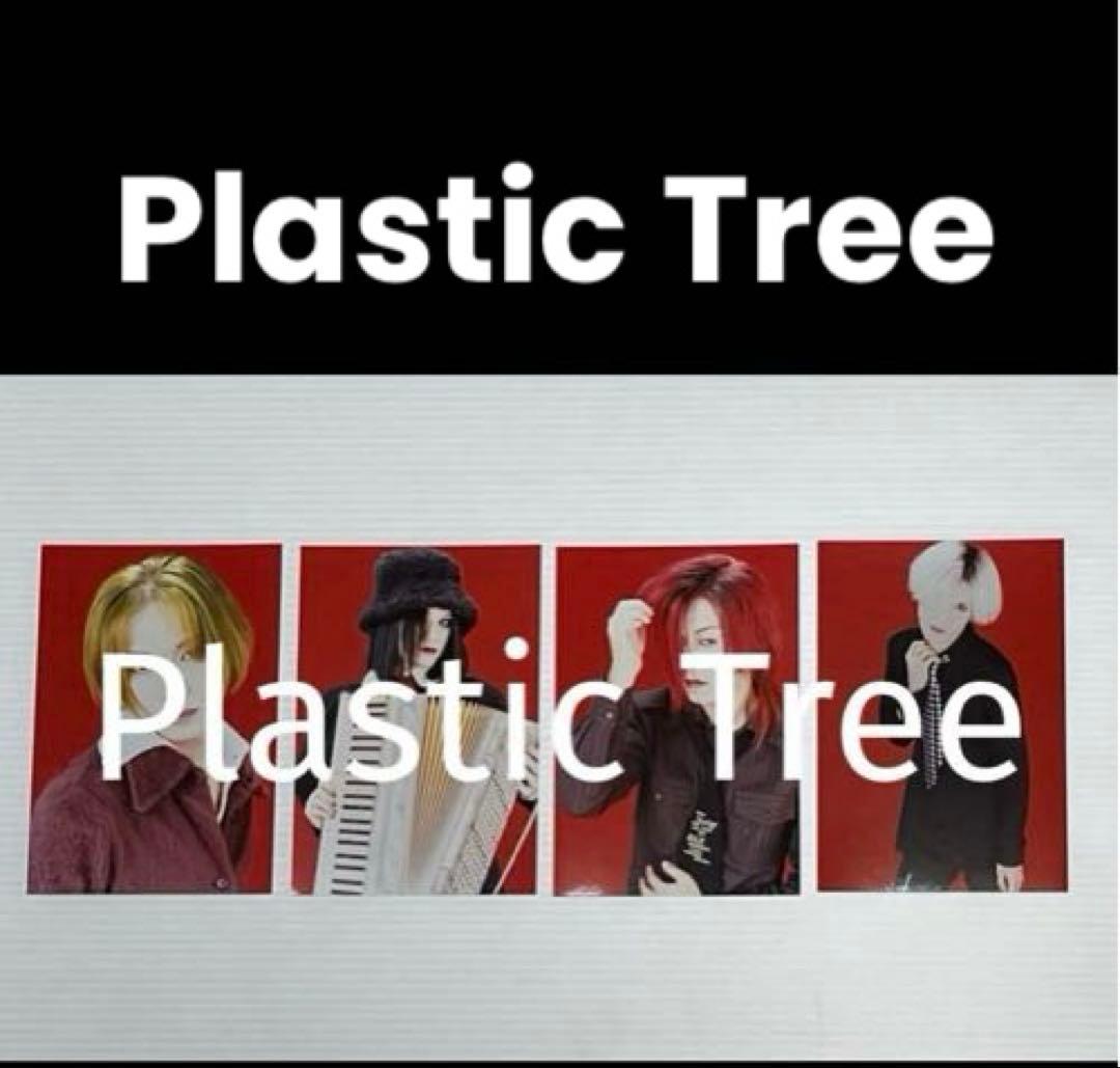 ミュージシャン Plastic Tree Photo