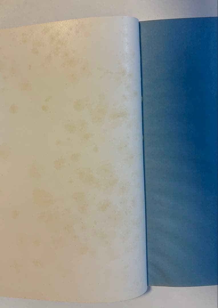 『宮崎駿 イメージボード集』初版　少年マガジン特別別冊／講談社