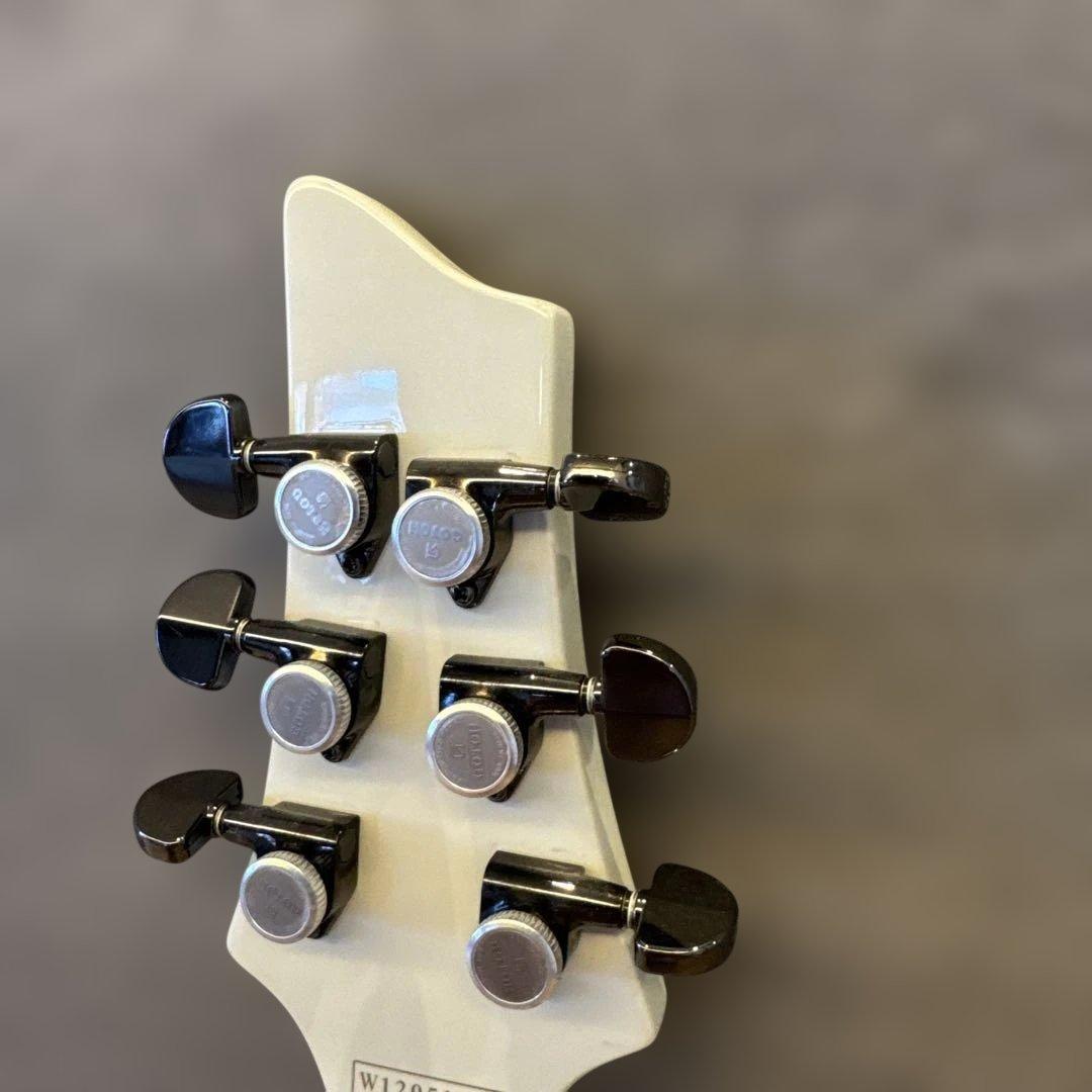 最終値引　シェクター DIAMOND シリーズセットネックEMG フロイドローズ