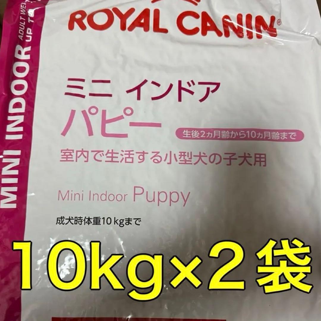  CANIN ミニ インドア パピー 10kg×2袋