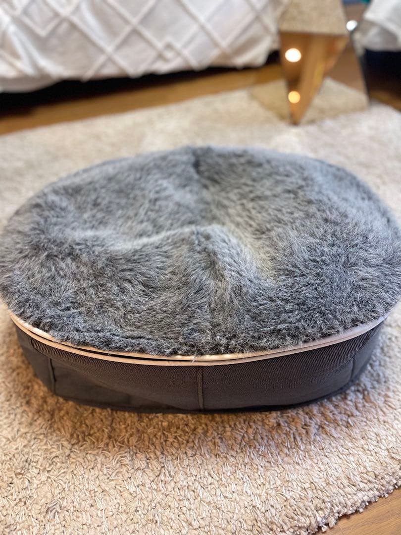 Ambient Lounge pet アンビエントペットラウンジSサイズ　犬