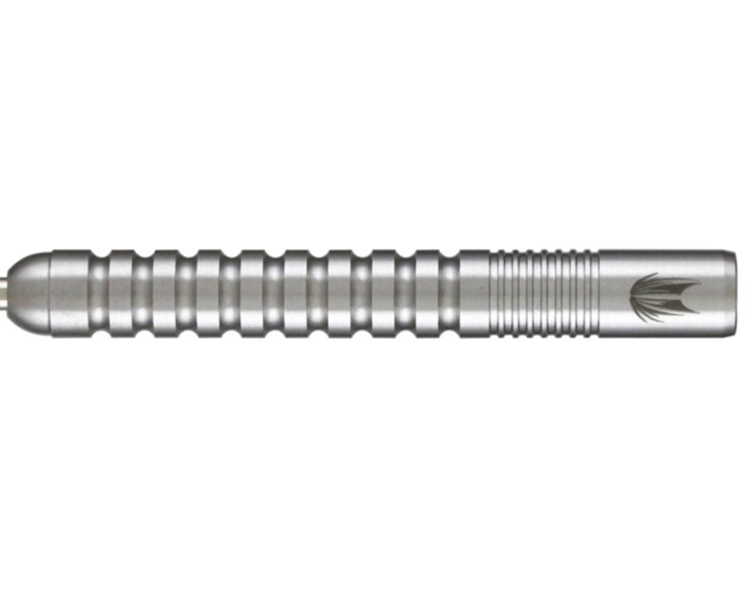 激レア ターゲット エイドリアン・ルイス ジェネレーション2 スティール 21g