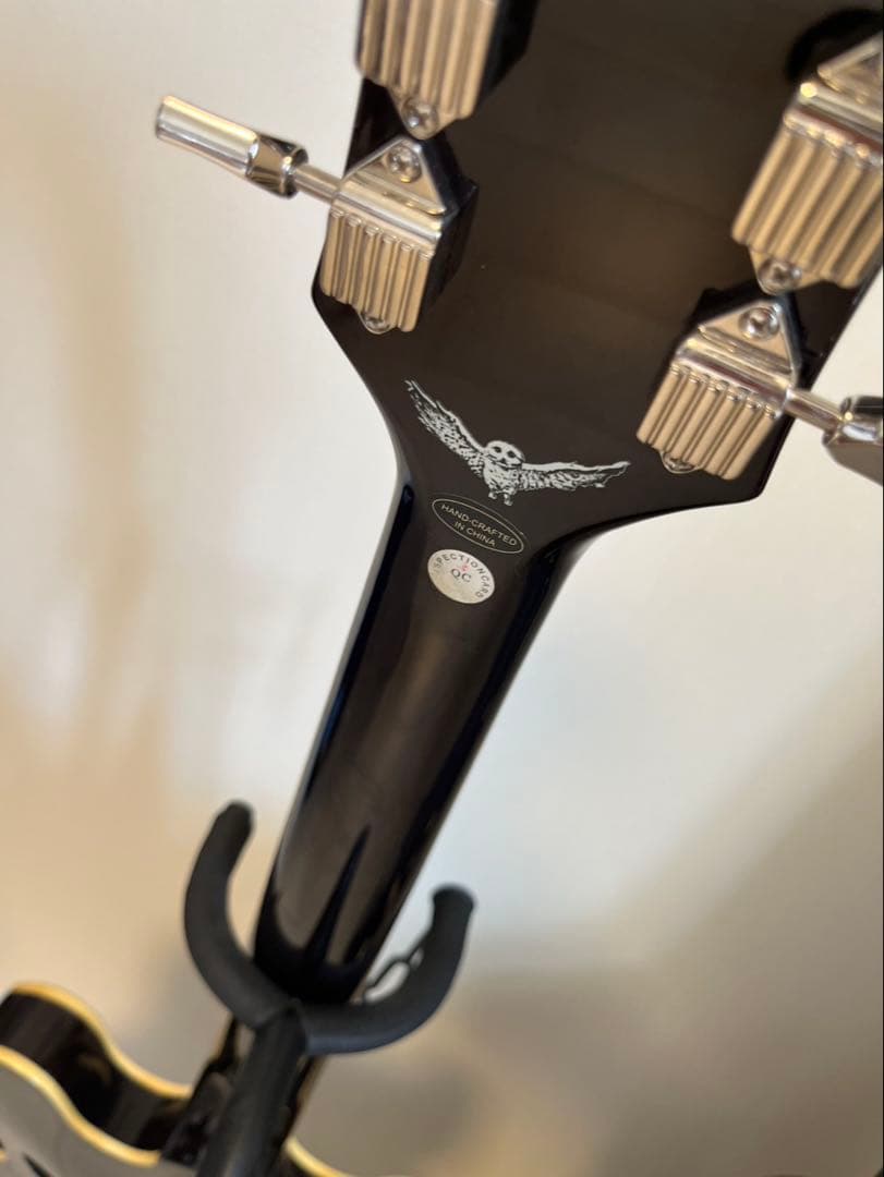 Epiphone Jim James ES-335 ブラウン ハードケース付き