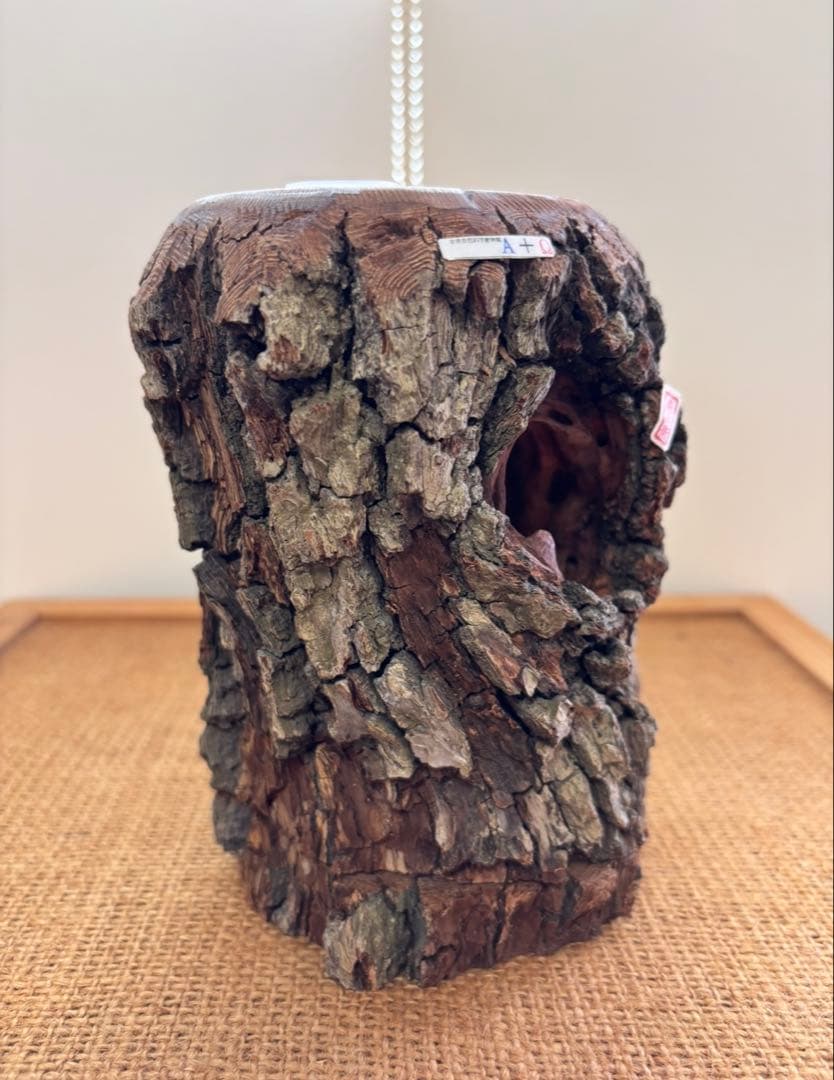 三本木 森兵衛★希少『新品•入手困難』A+Ωクラフトウッド(クワリウム)