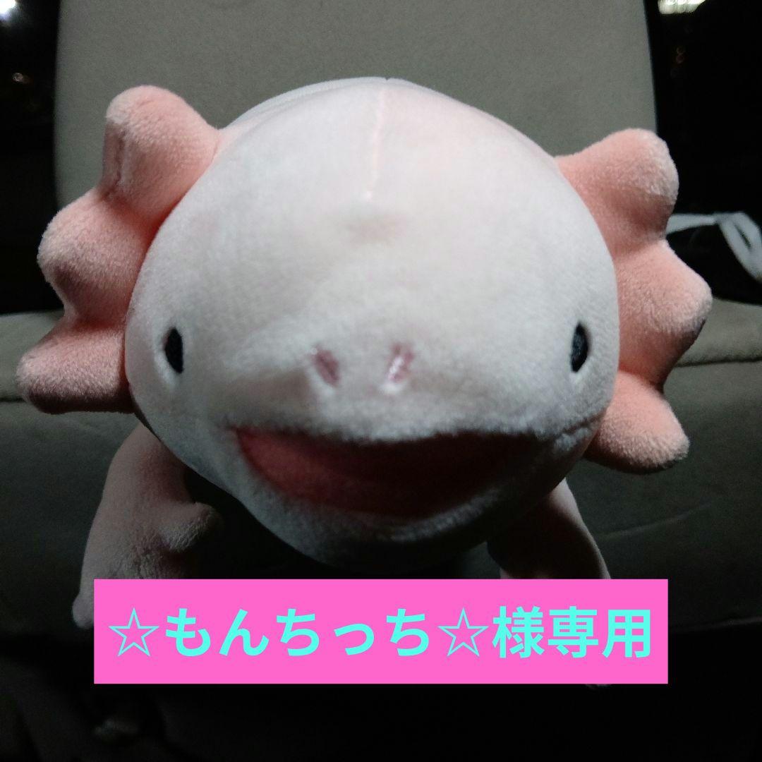 キャラクター☆もんちっち☆