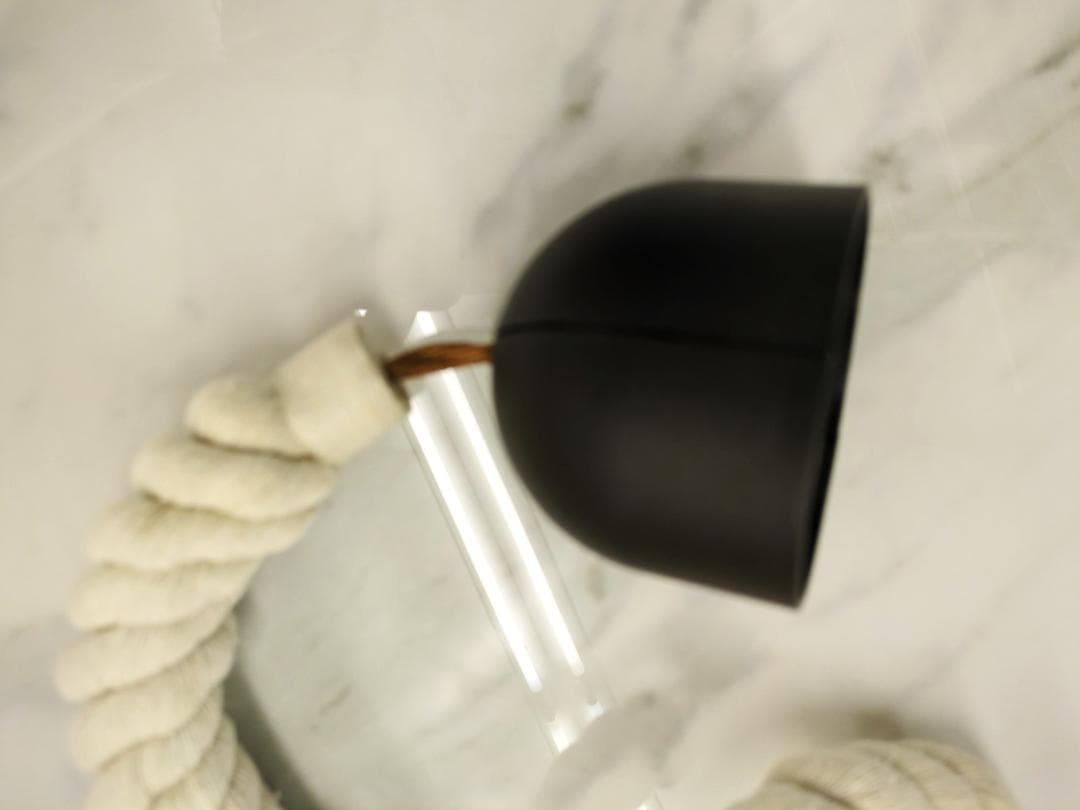 〈即購入可・現状渡し〉ボタニックライト ハンギング ライト 点灯確認済 電球無