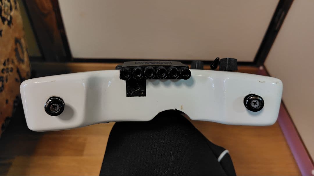 steinberger synapse スタインバーガー　シナプス
